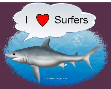 ../Images/shark loves surfers L.jpg